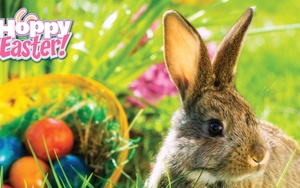 Sensory Friendly Time With The Easter Bunny