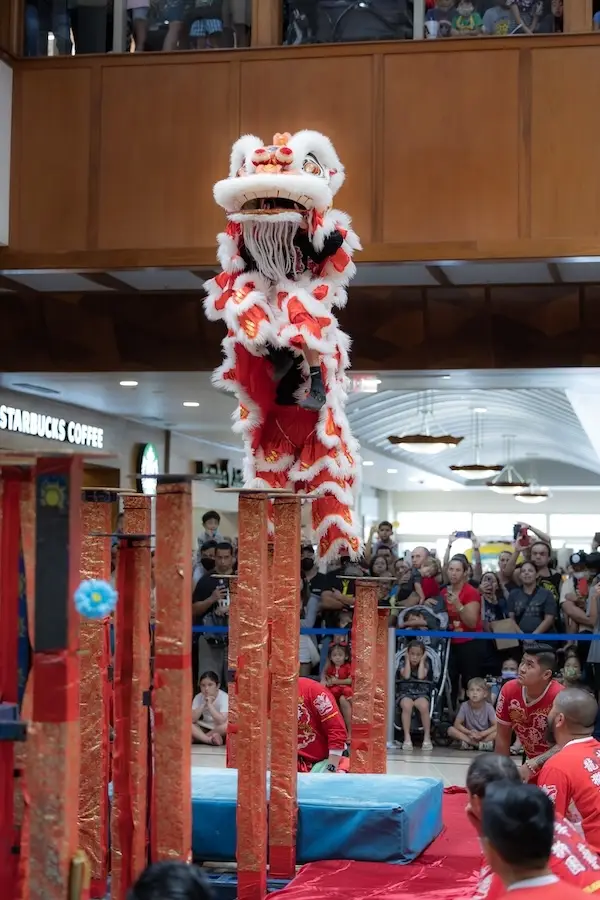 Chinese New Year Celebration