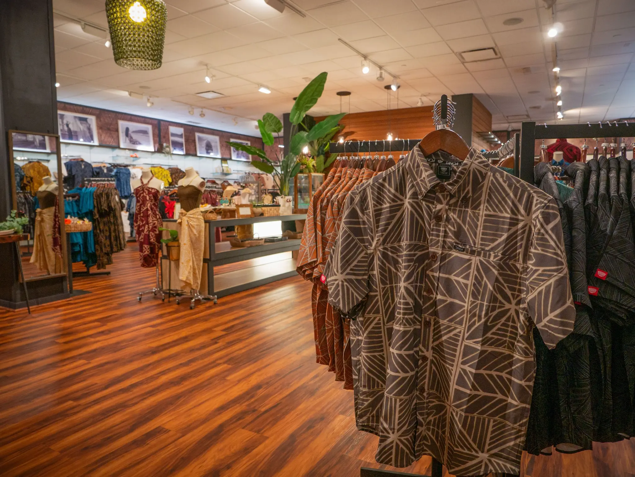 Discover the best brands