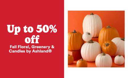 Up to 50% Off Fall Floral, Greenery & Candles by Ashland