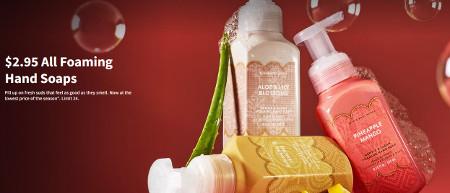 $2.95 All Foaming Hand Soaps