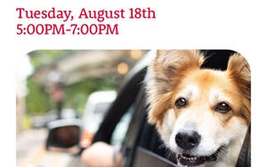 Dogs in the Drive-Thru