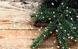 Belmont County Salvation Army Giving Tree & Kettle Kick-Off