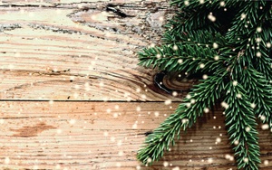 Gingerbread Lane Competition