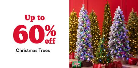 Up to 60% Off Christmas Trees
