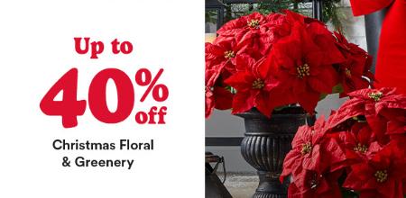 Up to 40% Off Christmas Floral & Greenery