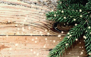 Angel Tree & Red Kettles - The Salvation Army