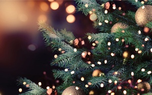 Christian Youth Theatre Holiday Performance