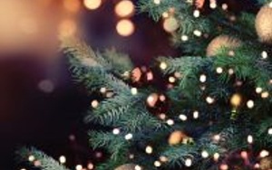 Stafford Regional Handbell Society Christmas Performance