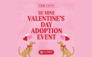 Be My Valentine Old Dominion Humane Society Puppy Adoption Event