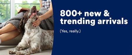 800+ New and Trending Arrivals