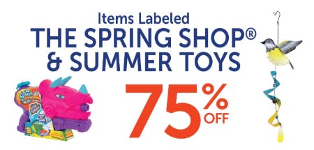 75% Off The Spring Shop & Summer Toys