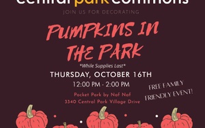 Pumpkins In The Park!