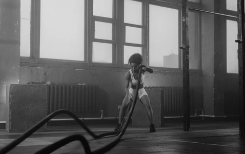 Gorilla on the Move - Animal Paradise Gym