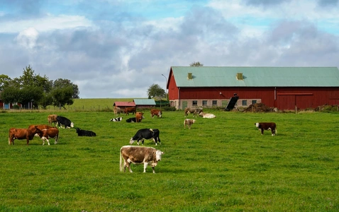 Cumberland County 4-H Program Expo thumbnail