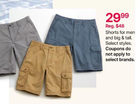 $29.99 Shorts For Men and Big & Tall