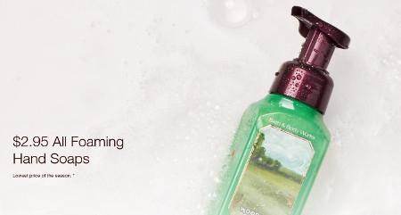 $2.95 All Foaming Hand Soaps