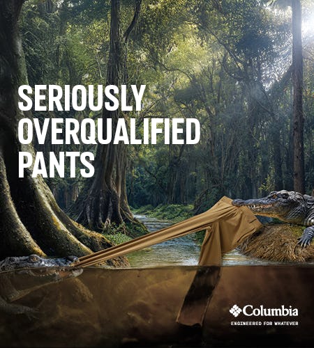 Seriously Overqualified Pants