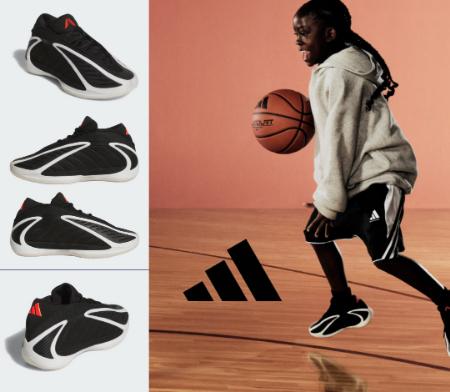 The Anthony Edwards 2 Collection