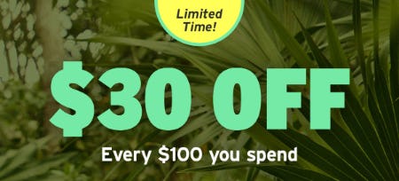 $30 Off Every $100 You Spend