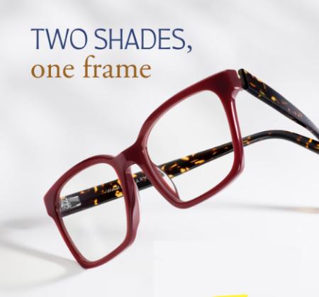 Two-Toned and Tortoise-Forward