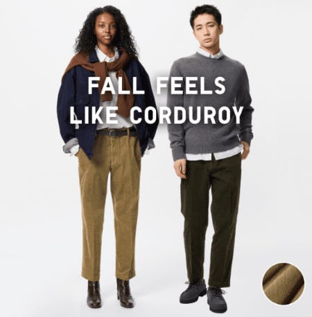 Touch of Fall: Corduroy