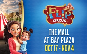 Flip Circus