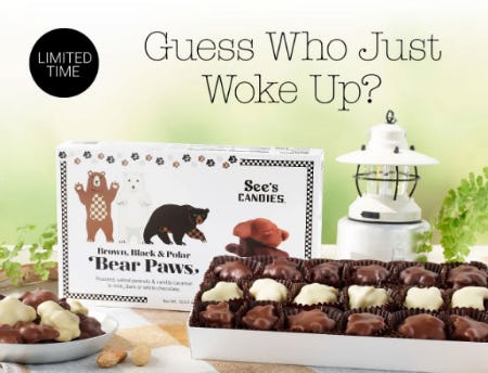 Welcome Back Bear Paws