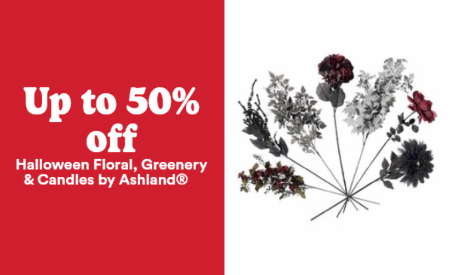Up to 50% Off Halloween Floral, Greenery & Candles by Ashland