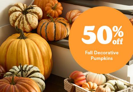 50% Off Fall Decorative Pumpkins