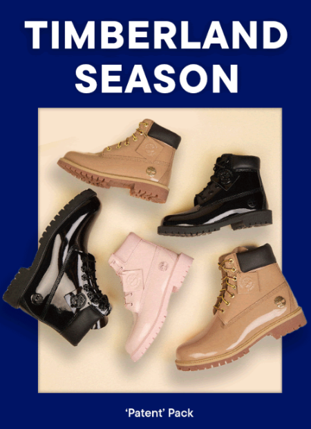 Stylish Timberland 6-Inch Boots