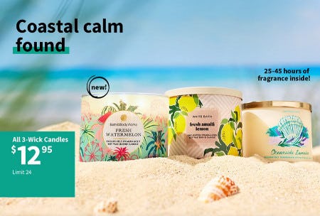 All 3-Wick Candles $12.95