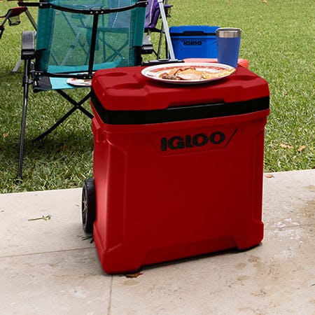 20% Off Igloo Coolers and Drinkware