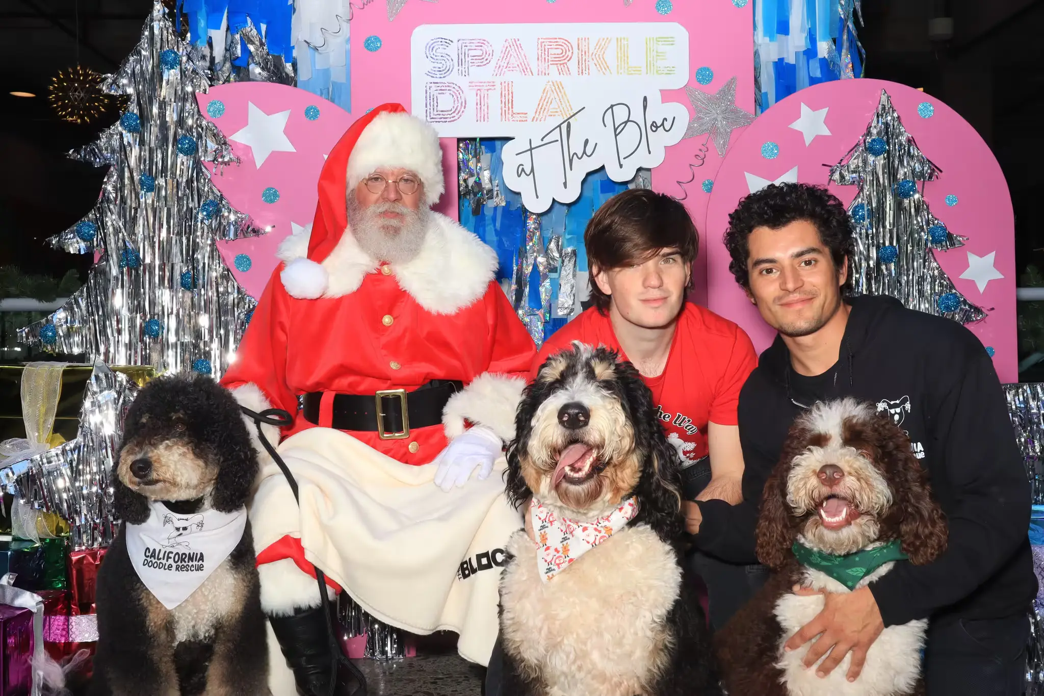 Pet Photos with Santa