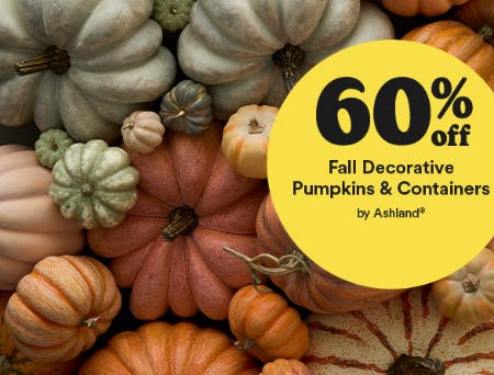 60% Off Fall Decorative Pumpkins & Containers by Ashland