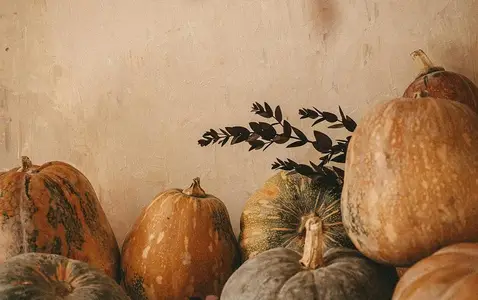 Pumpkin Favorites Beyond the Latte thumbnail