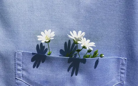 March Mood: Fresh Energy, New Ideas, and Small Joys thumbnail