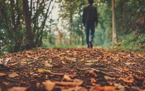 Fresh Fall Fits thumbnail