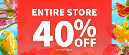 Entire Store 40% off