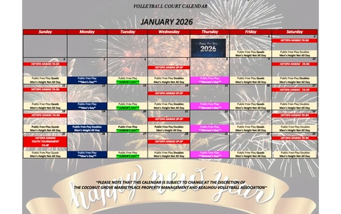 January Volleyball Schedule  thumbnail
