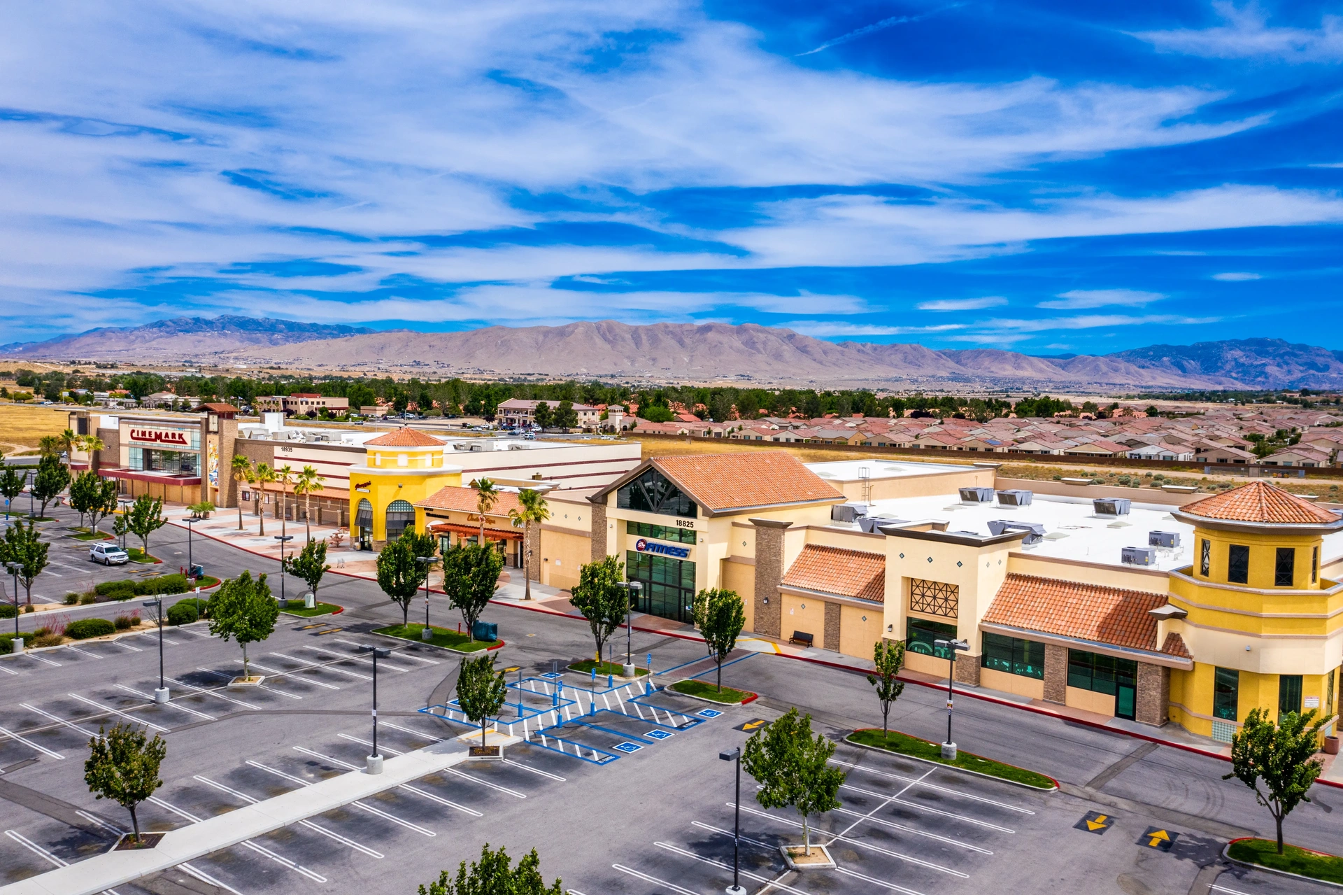 Where Entertainment Meets  Everyday Essentials 