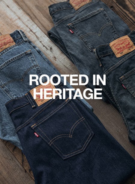 New Denim Arrivals