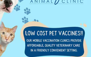 Low Cost Pet Vaccines