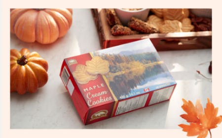 Savor All the Fall Flavors