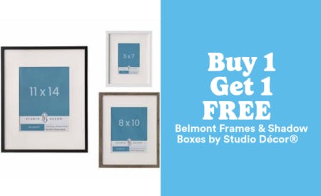 Buy 1, Get 1 Free Belmont Frames & Shadow Boxes by Studio Décor