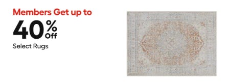 Members Get Up to 40% Off Select Rugs