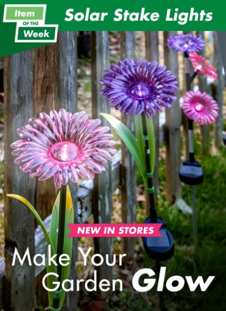 Make Your Garden Glow