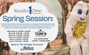 Studio One Photography-Spring Session