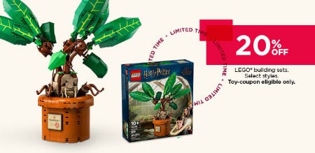 20% Off LEGO Building Sets