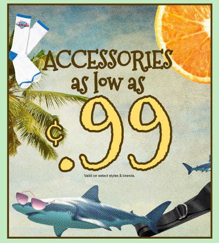 Accessories As Low as 99 Cents